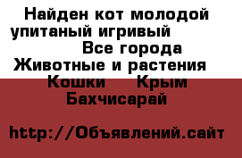 Найден кот,молодой упитаный игривый 12.03.2017 - Все города Животные и растения » Кошки   . Крым,Бахчисарай